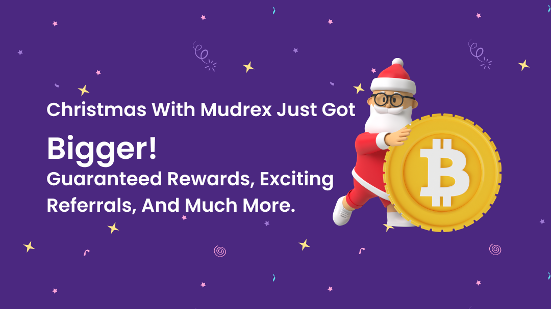 Mudrex Christmas Campaign
