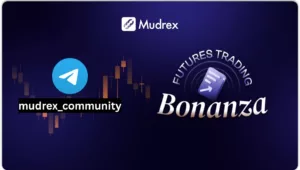 Crypto Bull Run Strategy