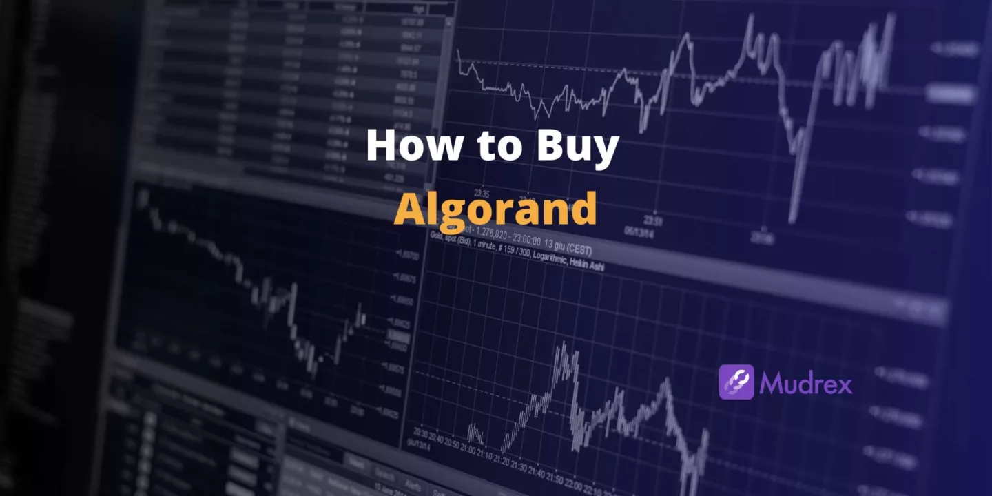 How to Buy Algorand in India