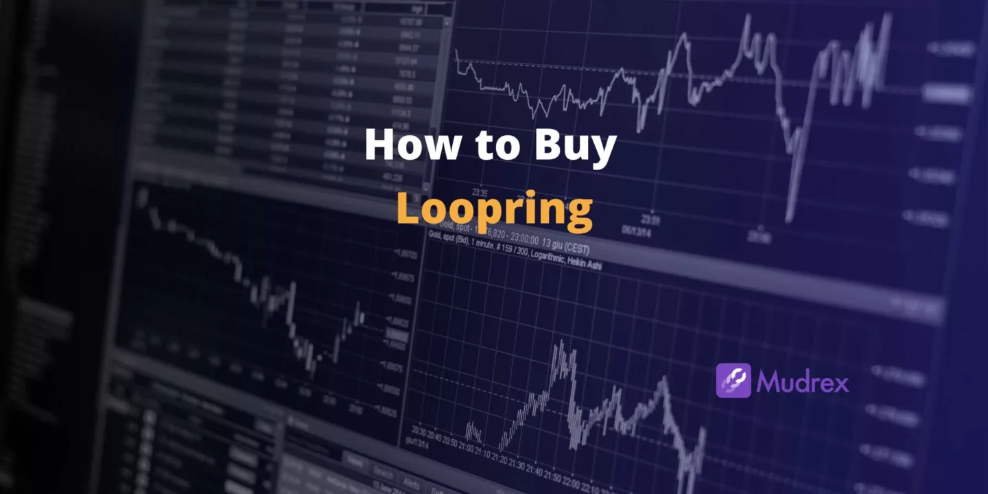 How to Buy Loopring in India