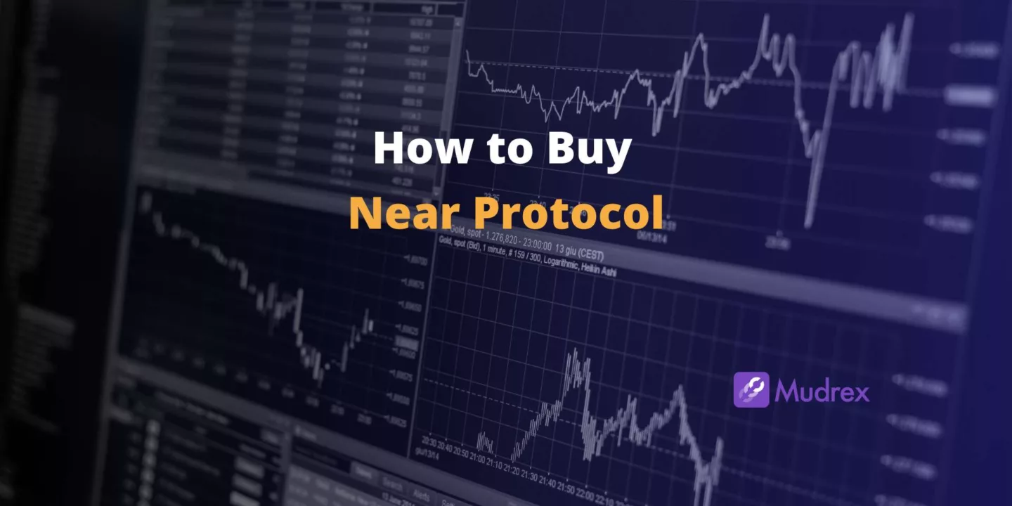 How to Buy Near Protocol in India