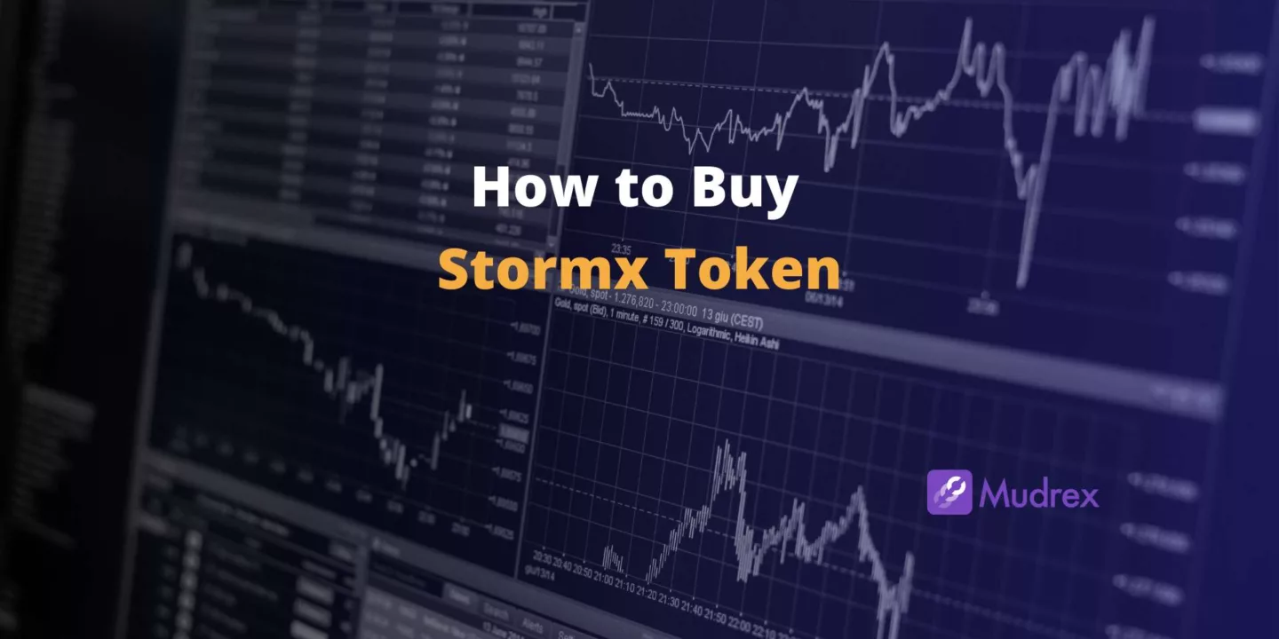 How to Buy Stormx Token in India