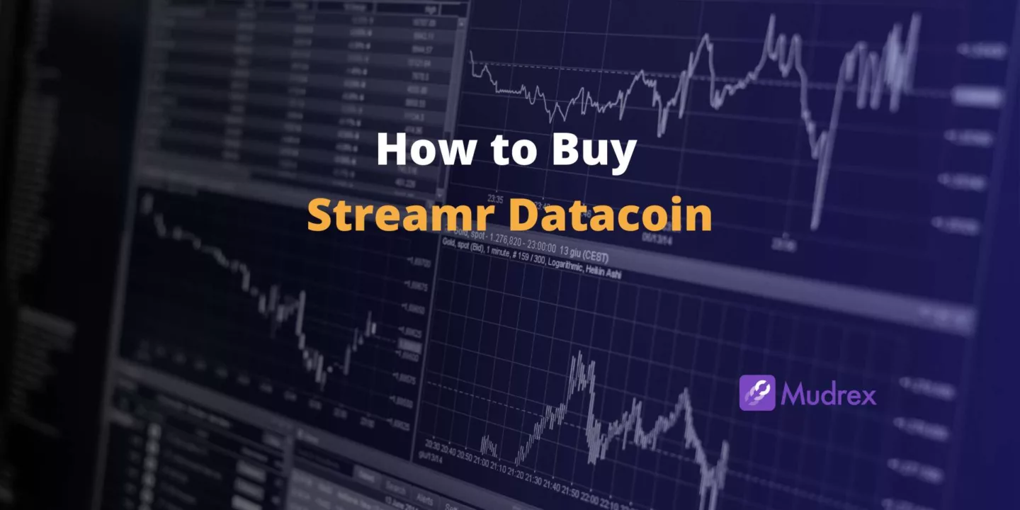 How to Buy Streamr Datacoin in India