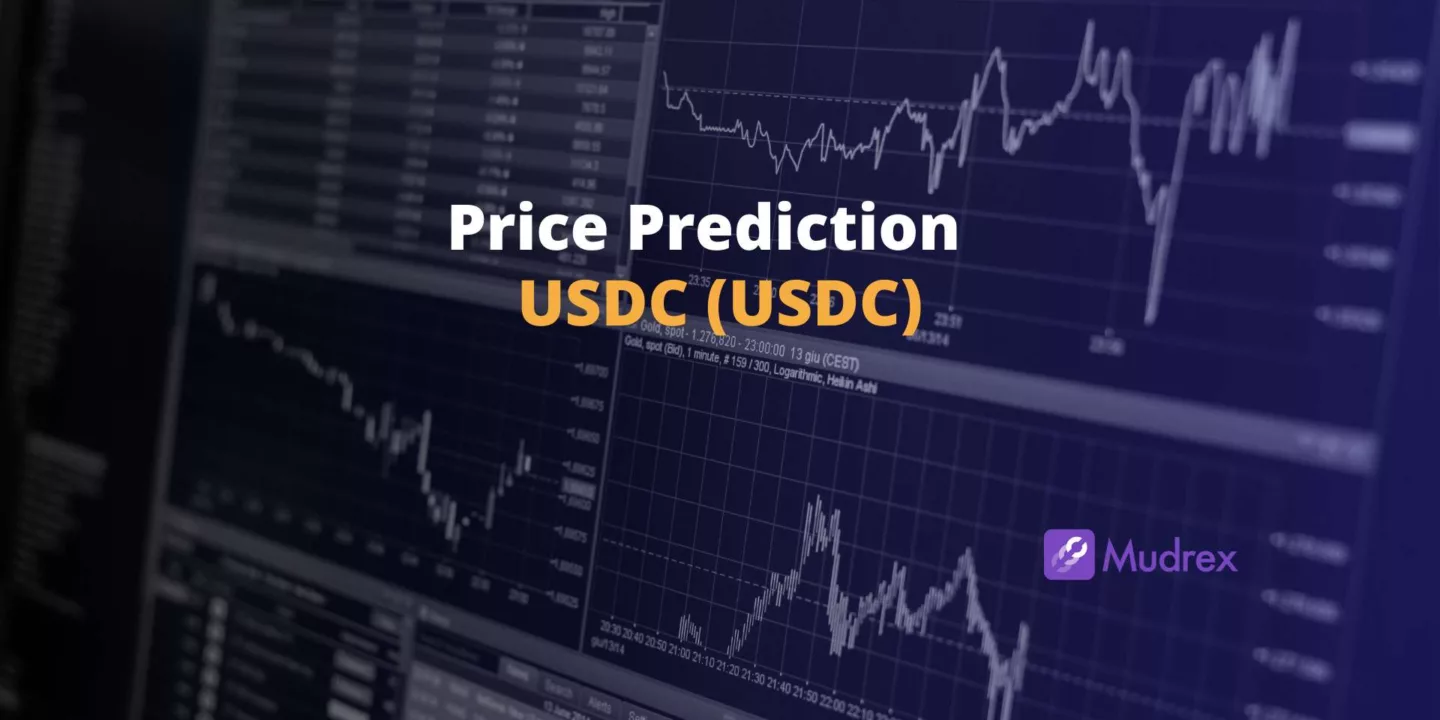 USDC (USDC) Price Prediction 2025, 2026, 2027, 2028, 2029,2030)