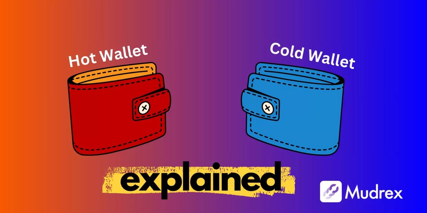 Hot wallet vs Cold wallet in Crypto