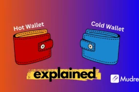 Hot wallet vs Cold wallet in Crypto