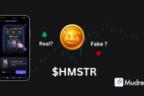 Is hamster coin fake or real?