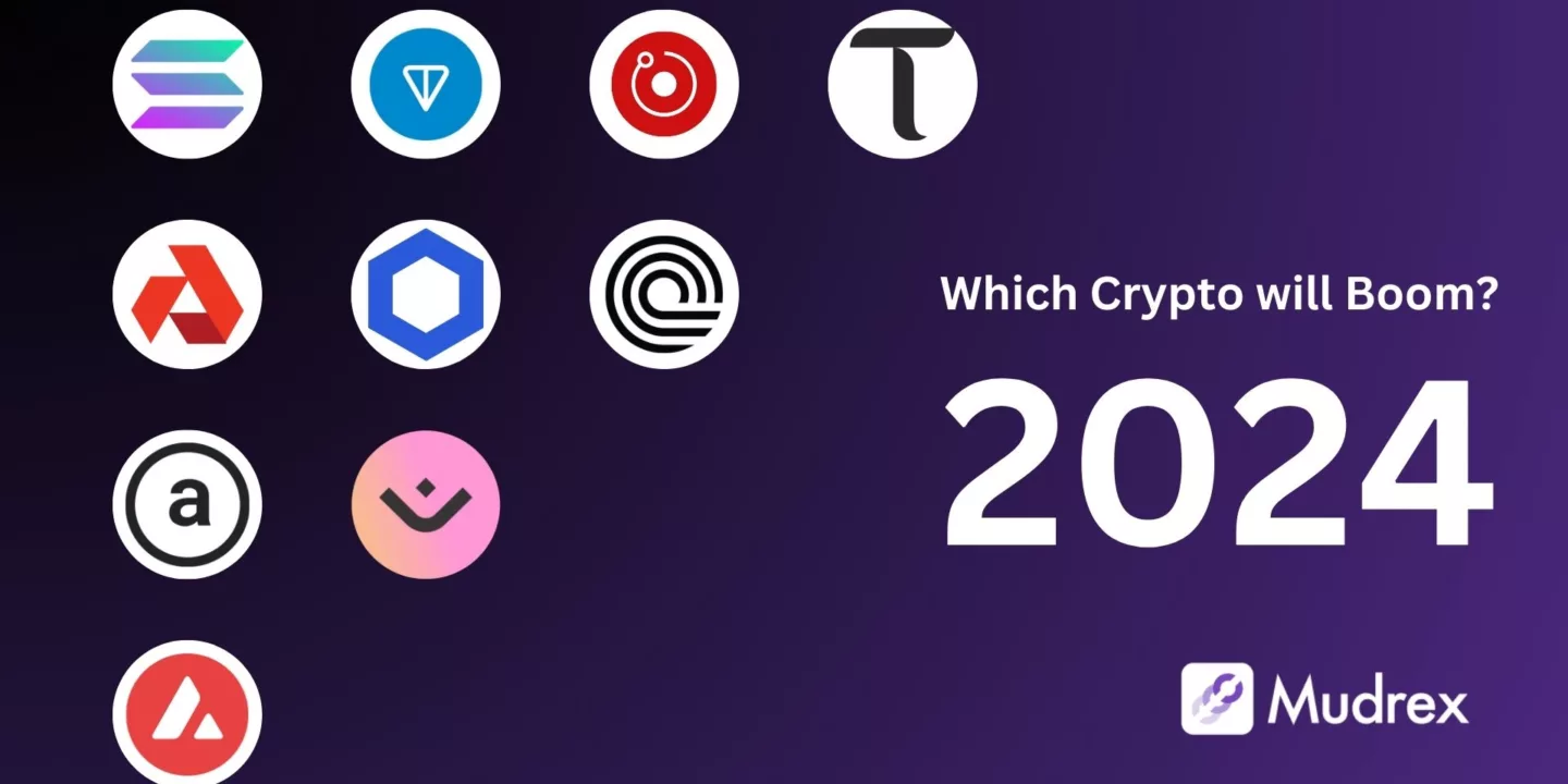 Which Crypto will boom in 2024?