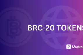 an illustration representing brc-20 tokens