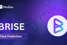 BRISE coin price prediction