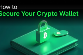 How to Secure Your Crypto Wallet?