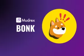 Will Bonk token reach $1?