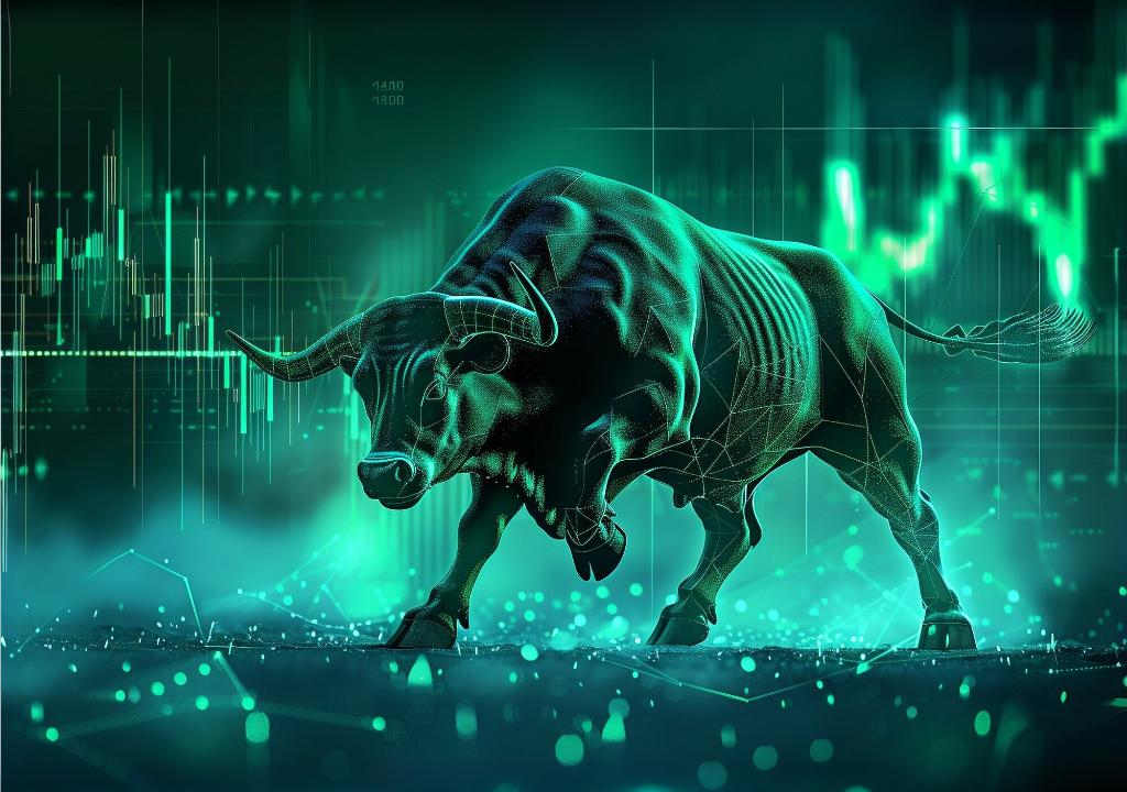 crypto bull run