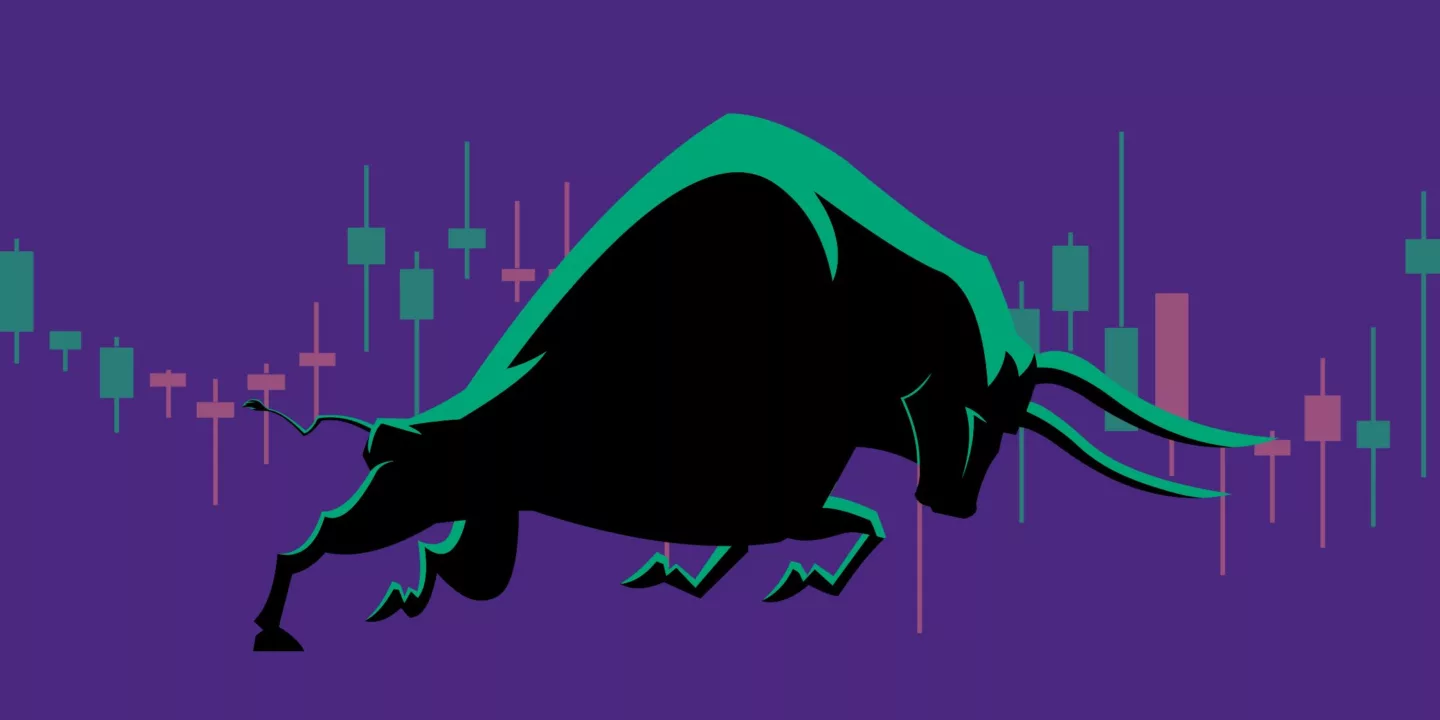 Altcoin Investment Strategies for Beginners in a Bull Market (2025)