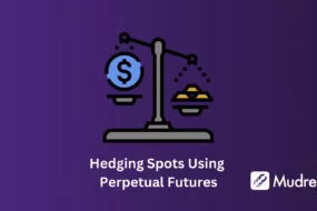 Using Perpetual Futures to Hedge your Crypto Spot Positions