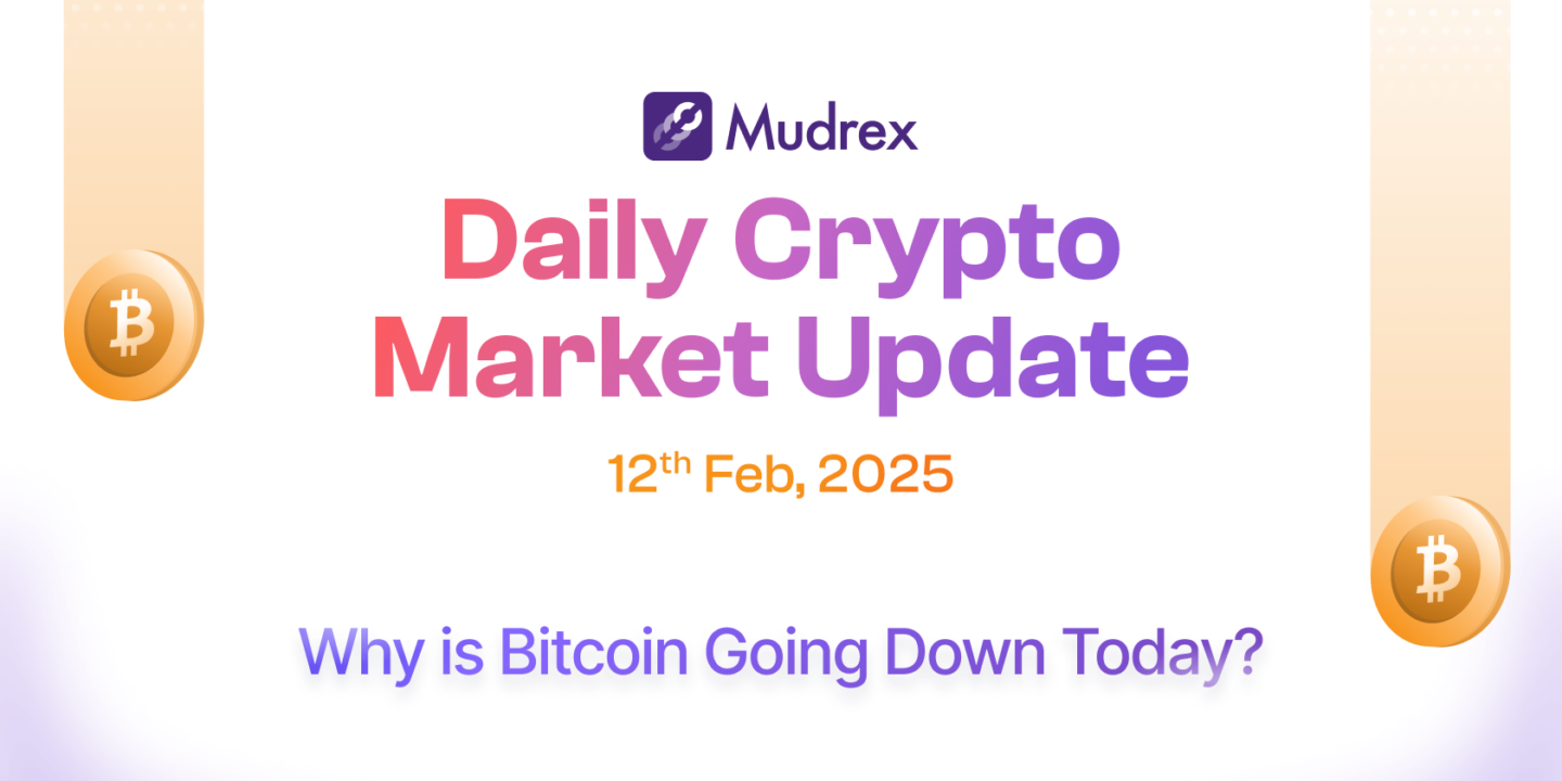 Daily Crypto Market Update Feb 12 2025: Why Is Bitcoin Going Down Today?