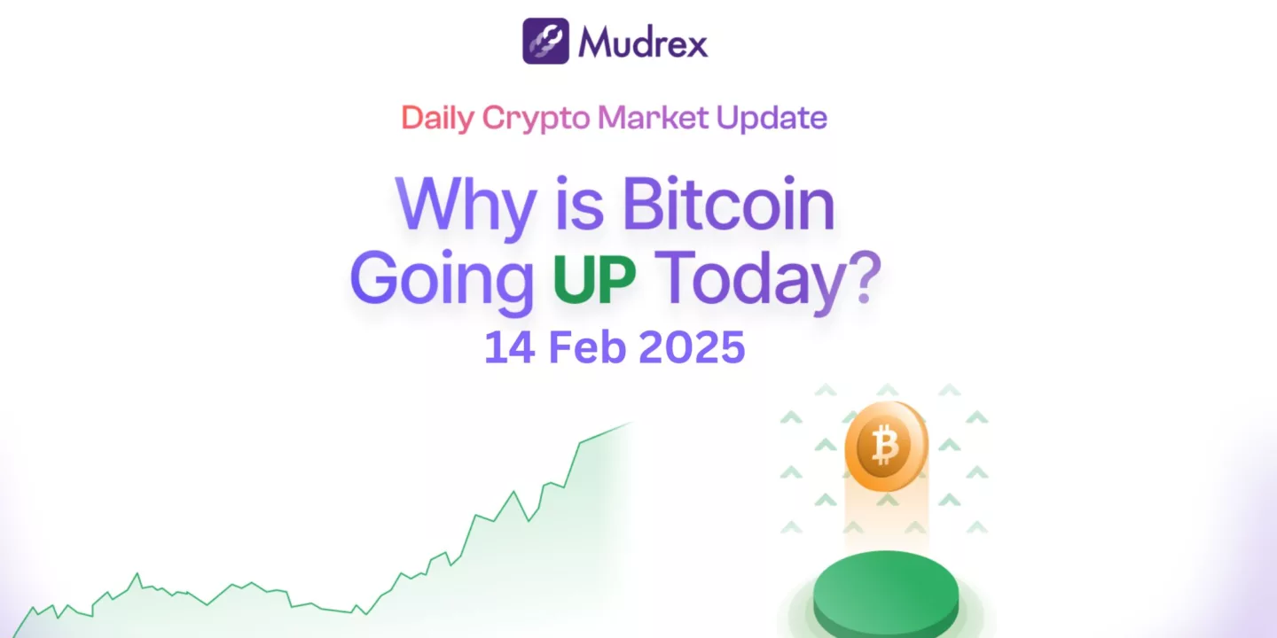 14 Feb Daily Market Update