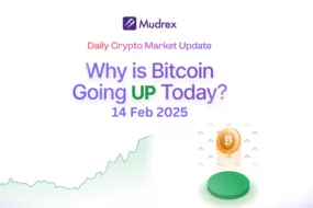 14 Feb Daily Market Update