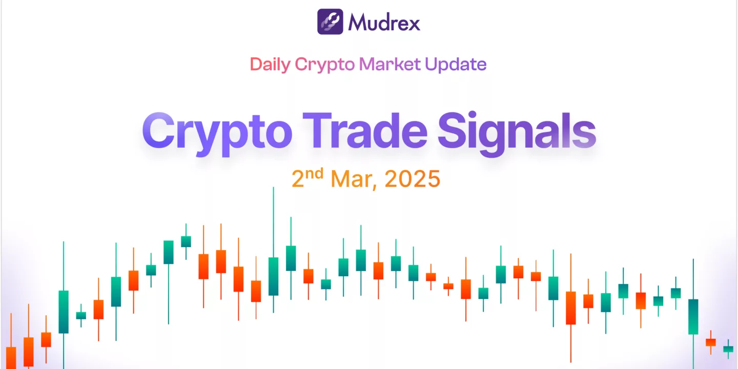 Daily Crypto Trade Signals & Market Insights 3 March 2025