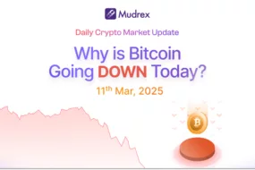 Why is Crypto Down Today? Crypto Market Update Mar 11, 2025