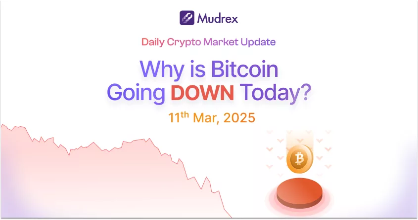 Why is Crypto Down Today? Crypto Market Update Mar 11, 2025