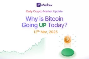 Why is the Crypto Market Up today?