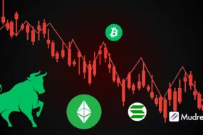 Crypto Bull Run Dip Strategy 2025