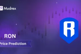 Ronin (RON) Price Prediction and Forecast