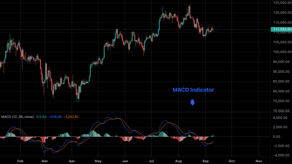 MACD indicator on the BTC 1 day chart 