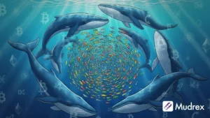 Stop Hunt in Crypto: 7 Shocking Facts Traders Must Know