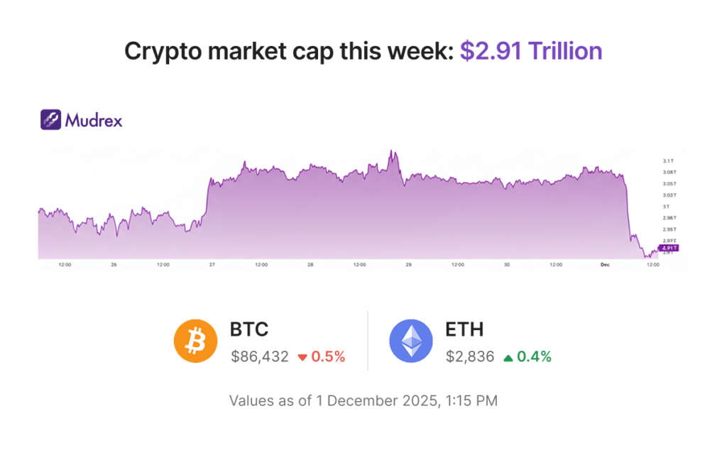 No Gains November | Mudrex Weekly Digest 🟣