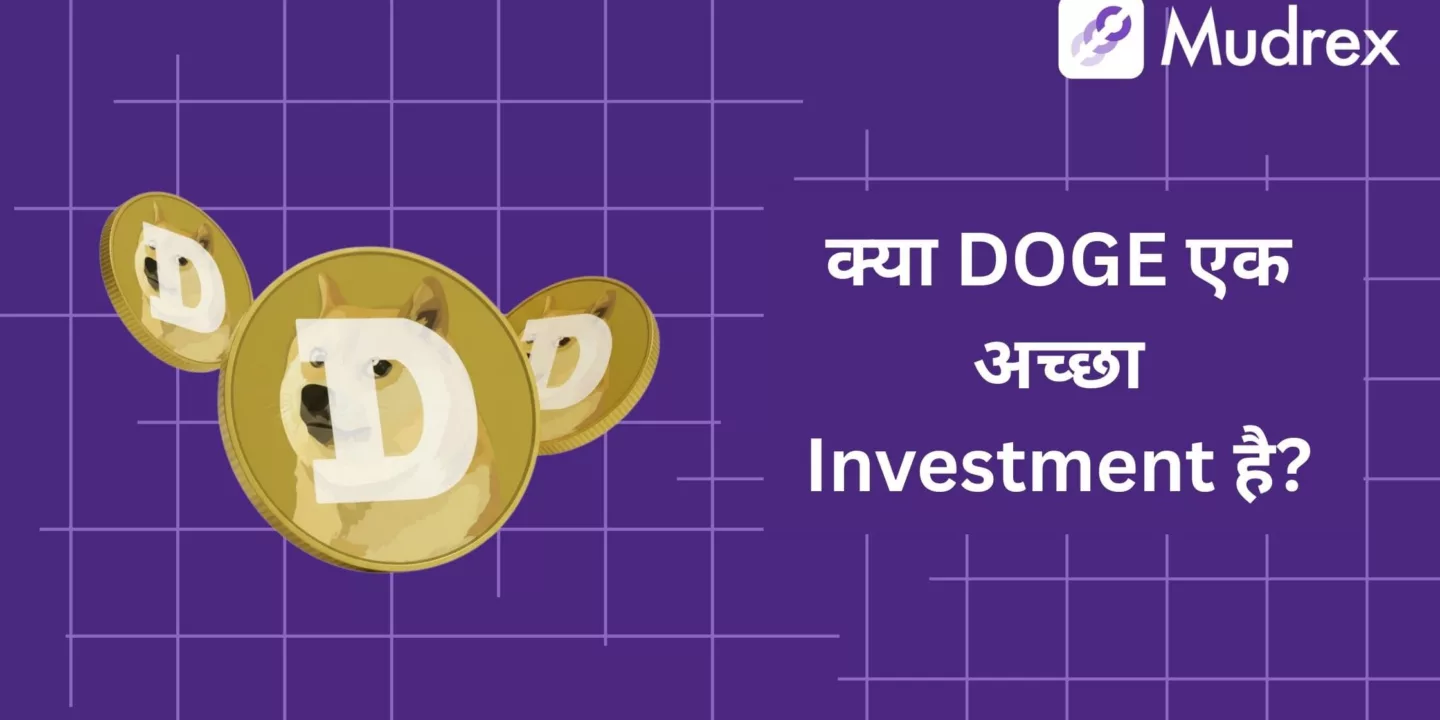 Kya Dogecoin (DOGE) Acha Investment Hai? Checklist