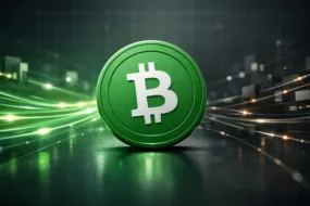 Is Bitcoin Cash a Good Investment in 2026?