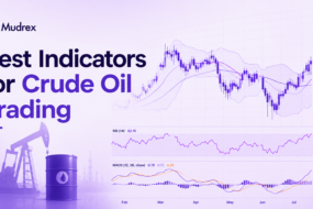 Which Indicator Is Best for Crude Oil Trading banner