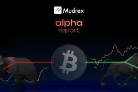 Has Bitcoin Bottomed