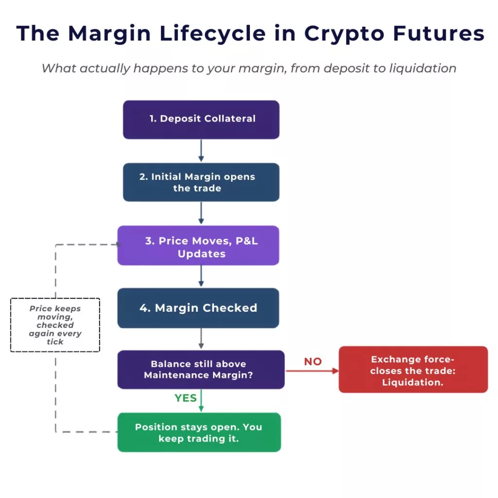 "Flowchart titled 'The Margin Lifecycle in Crypto Futures,' subtitled 'What actually happens to your margin, from deposit to liquidation.' A vertical sequence of steps: 1. Deposit Collateral, 2. Initial Margin Opens the Trade, 3. Price Moves, P&L Updates, 4. Margin Checked, leading into a decision box, 'Balance still above Maintenance Margin?' A red arrow labeled 'unsafe' leads right to a box reading 'NO — Exchange force-closes the trade: Liquidation.' A green arrow labeled 'safe' leads down to a box reading 'YES — Position stays open. You keep trading it.' A dashed loop-back arrow runs from the YES box back up to step 3, labeled 'Price keeps moving — checked again every tick,' showing that margin is checked continuously as price moves, not just once