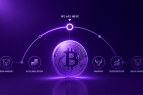 current bitcoin cycle