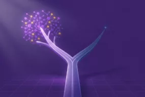 Ethereum vs Ethereum Classic: Key Differences 