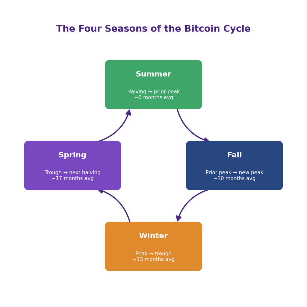 Bitcoin summer and winter in the four-year cycle infographic: Bitcoin market seasons and crypto market cycle phases showing Summer from halving to prior peak averaging 6 months, Fall from prior peak to new peak averaging 10 months, Winter from peak to trough averaging 13 months matching crypto winter duration data, and Spring accumulation and expansion from trough to next halving averaging 17 months