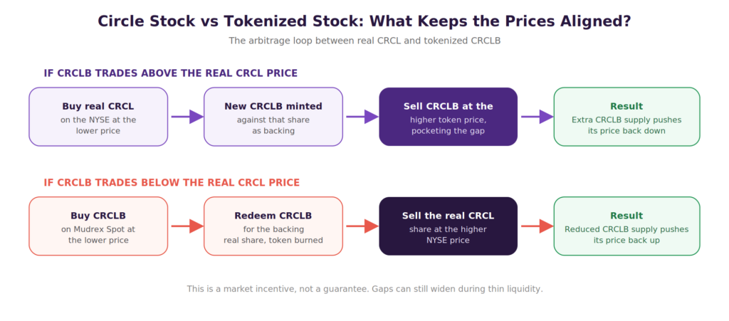 Circle Stock vs Tokenized Circle Stock (Spot): Key Differences