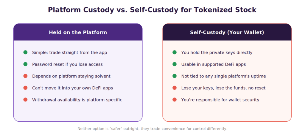 Two-column comparison titled 'Platform Custody vs. Self-Custody for Tokenized Stock.' Left column, Held on the Platform: green checks for 'Simple: trade straight from the app' and 'Password reset if you lose access'; red flags for 'Depends on platform staying solvent,' 'Can't move it into your own DeFi apps,' and 'Withdrawal availability is platform-specific.' Right column, Self-Custody (Your Wallet): green checks for 'You hold the private keys directly,' 'Usable in supported DeFi apps,' and 'Not tied to any single platform's uptime'; red flags for 'Lose your keys, lose the funds, no reset' and 'You're responsible for wallet security.' Footer caption: 'Neither option is "safer" outright, they trade convenience for control differently.'