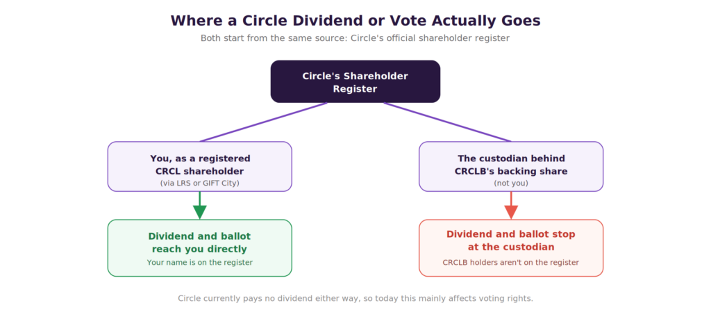 Flowchart titled 'Where a Circle Dividend or Vote Actually Goes,' subtitled 'Both start from the same source: Circle's official shareholder register.' A central box, Circle's Shareholder Register, branches into two paths. Left path: 'You, as a registered CRCL shareholder (via LRS or GIFT City)' leads to a green box, 'Dividend and ballot reach you directly — Your name is on the register.' Right path: 'The custodian behind CRCLB's backing share (not you)' leads to a red box, 'Dividend and ballot stop at the custodian — CRCLB holders aren't on the register.' Footer note: 'Circle currently pays no dividend either way, so today this mainly affects voting rights.'
