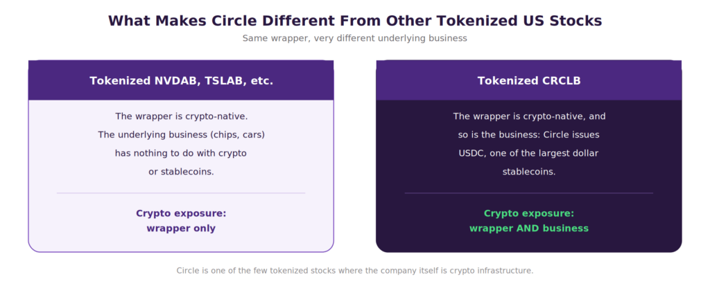 Two-column comparison titled 'What Makes Circle Different From Other Tokenized US Stocks,' subtitled 'Same wrapper, very different underlying business.' Left column, Tokenized NVDAB, TSLAB, etc.: the wrapper is crypto-native, but the underlying business (chips, cars) has nothing to do with crypto or stablecoins. Crypto exposure: wrapper only. Right column, Tokenized CRCLB: the wrapper is crypto-native, and so is the business — Circle issues USDC, one of the largest dollar stablecoins. Crypto exposure: wrapper AND business. Footer caption: 'Circle is one of the few tokenized stocks where the company itself is crypto infrastructure.
