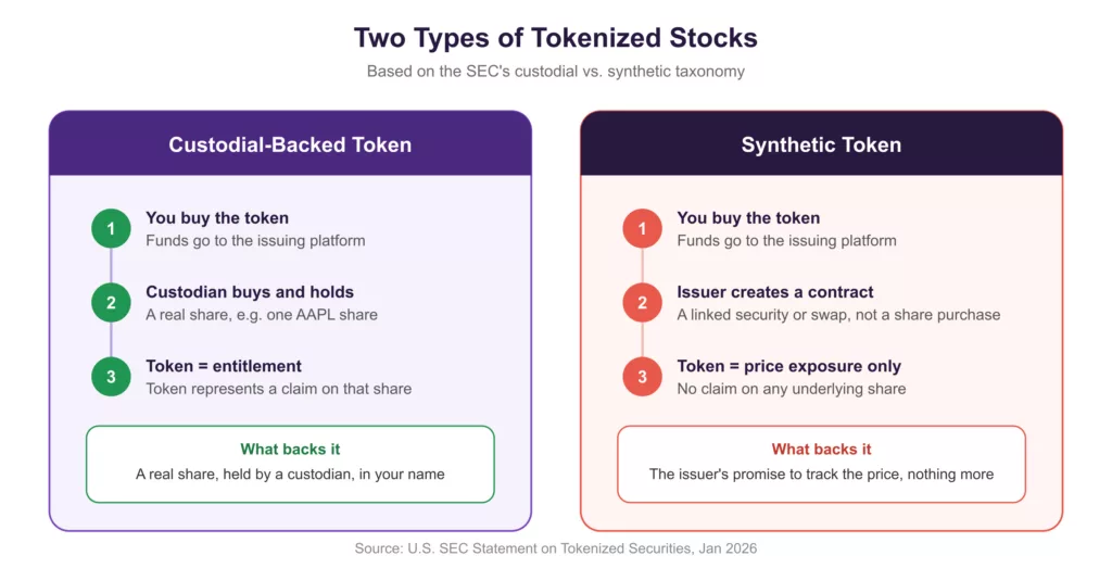 Diagram titled 'Two Types of Tokenized Stocks,' subtitled 'Based on the SEC's custodial vs. synthetic taxonomy,' comparing two structures for tokenized US stocks. Left card, Custodial-Backed Token: (1) You buy the token — funds go to the issuing platform; (2) Custodian buys and holds a real share, e.g. one AAPL share; (3) Token = entitlement — token represents a claim on that share. What backs it: a real share, held by a custodian, in your name. Right card, Synthetic Token: (1) You buy the token — funds go to the issuing platform; (2) Issuer creates a contract — a linked security or swap, not a share purchase; (3) Token = price exposure only — no claim on any underlying share. What backs it: the issuer's promise to track the price, nothing more. Source: U.S. SEC Statement on Tokenized Securities, Jan 2026.