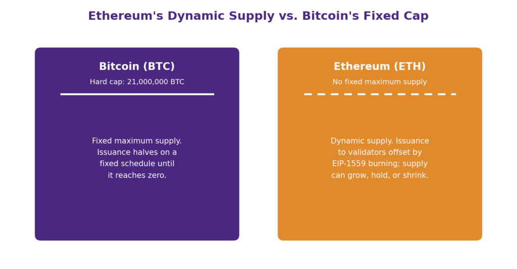 Ethereum's Supply Model: Does ETH Have a Maximum Supply? Ethereum max supply and Ethereum supply limit compared to Bitcoin's 21 million supply cap: side-by-side diagram showing Bitcoin's fixed hard cap of 21,000,000 BTC with issuance halving on a schedule, versus Ethereum's dynamic supply with no fixed maximum, governed by validator issuance offset by EIP-1559 burning