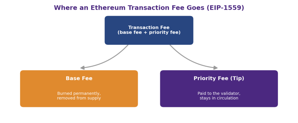 Ethereum's Supply Model: Does ETH Have a Maximum Supply? How does EIP-1559 affect ETH supply: fee-flow diagram showing an Ethereum transaction fee splitting into the base fee, which is burned permanently and removed from ETH total supply, and the priority fee or tip, which is paid to the validator and remains in circulating supply