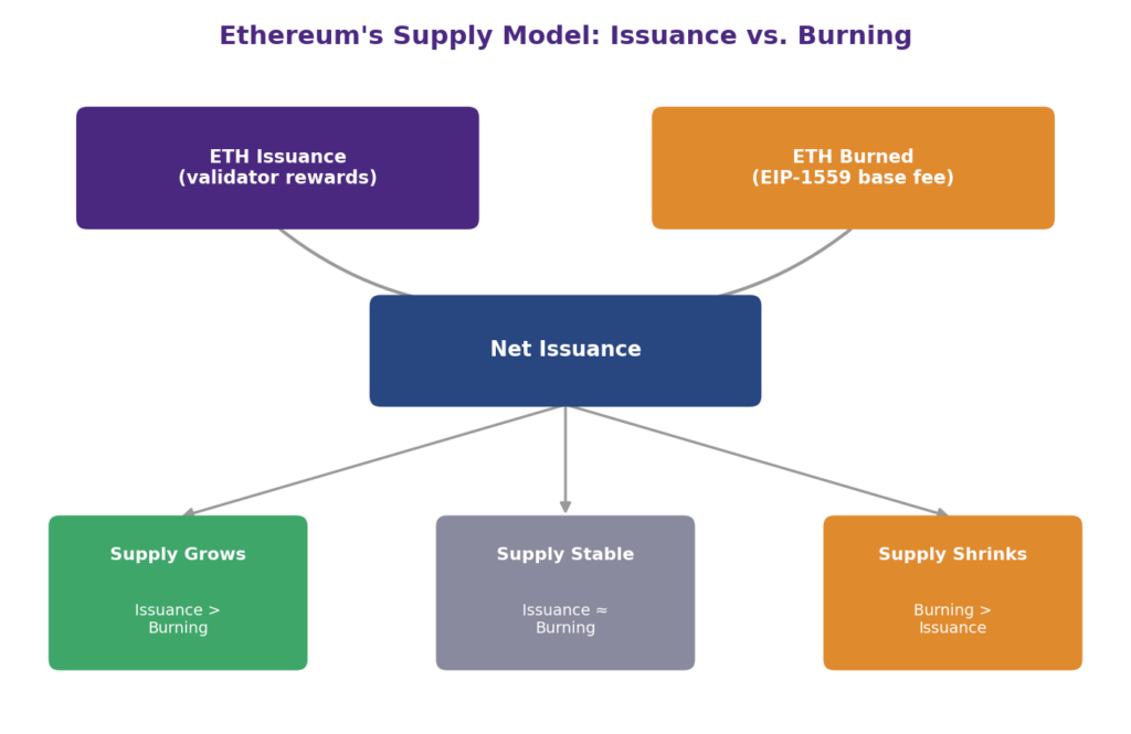 Ethereum's Supply Model: Does ETH Have a Maximum Supply? Ethereum supply model infographic showing ETH issuance and ETH burning flowing into net issuance, which determines three possible outcomes: supply grows when issuance exceeds burning, supply stays stable when they are roughly equal, and supply shrinks when burning exceeds issuance, illustrating Ethereum inflation and deflation dynamics