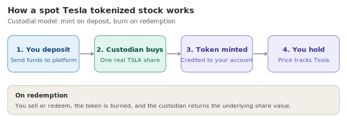 Tesla Tokenized Stock: The Complete Guide