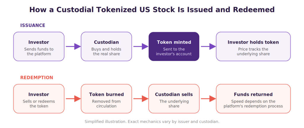 Flowchart titled 'How a Custodial Tokenized US Stock Is Issued and Redeemed.' Issuance row: Investor sends funds to the platform → Custodian buys and holds the real share → Token minted, sent to the investor's account → Investor holds token, price tracks the underlying share. Redemption row: Investor sells or redeems the token → Token burned, removed from circulation → Custodian sells the underlying share → Funds returned, speed depends on the platform's redemption process. Footer note: 'Simplified illustration. Exact mechanics vary by issuer and custodian.'
