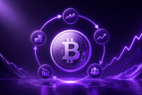 Bitcoin Cycle